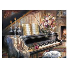 Картина по номерам RADUGA RDG-0013 Соната у камина 40х50см