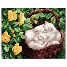 Картина по номерам RADUGA RDG-4257 40х50см