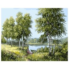 Картина по номерам RADUGA RDG-2994 40х50см