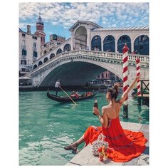 Картина по номерам RADUGA RDG-3426 40х50см