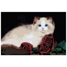 Персидская кошка с розами Раскраска картина по номерам на холсте AAAA-RS018 40х60