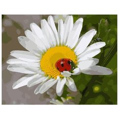 Картина по номерам ВанГогВоМне ZX 20109 Божья коровка 40х50 см