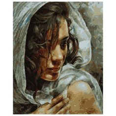 Картина по номерам ВанГогВоМне ZX 22997 Корнелия 40х50 см