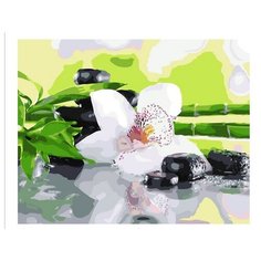 Картина по номерам Цветок и бамбук Paintboy