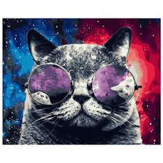 Картина по номерам PK 24053 (GX 27976) Космический кот 40x50 см Paintboy