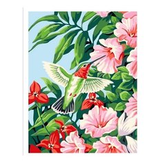 Картина по номерам Колибри Paintboy
