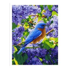 Картина по номерам Птичка 6на ветке Paintboy