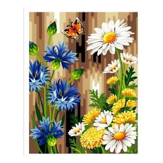 Картина на номерам Васильки Ромашки Paintboy