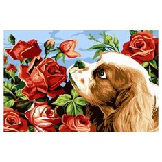 Картина по номерам Paintboy CX 3608 Пес и аромат роз, 20х30см