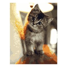 Картина по номерам Paintboy GX 29845 Любопытный малыш 40x50 см