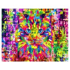 Картина по номерам Paintboy GX 34050 Цветной кот 40x50 см