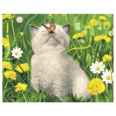 Картина по номерам GX 36566 Котенок с бабочкой в одуванчиках 40*50 Paintboy