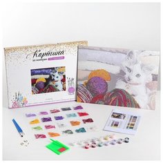 Картина по номерам со стразами Школа талантов "Кот", 30*40 см (4012439)