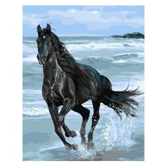 Картина по номерам GX 29330 Ветер свободы 40*50 Paintboy