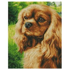 Алмазная мозаика Paintboy GF 4651 Спаниель на прогрулке 40x50см