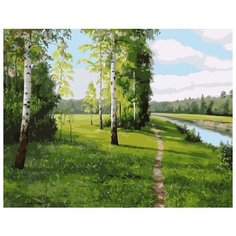 Картина по номерам Colibri 40*50см, холст на подрамнике, VA-1807
