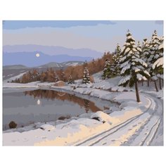 Картина по номерам Colibri 40*50см, холст на подрамнике, VA-2397