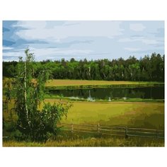 Картина по номерам Colibri 40*50см, холст на подрамнике, VA-2367