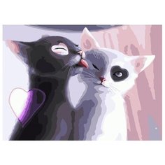 Картина по номерам Paintboy EX 6515 Инь и Янь/ Котята 30*40