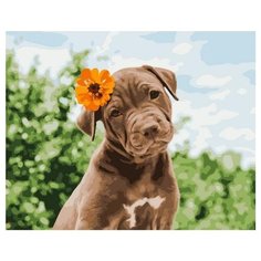 Картина по номерам Paintboy GX 37552 Милый песик 40х50 см