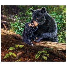 Картина по номерам RADUGA "Медведица с медвежонком" 40х50см