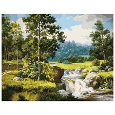 Картина по номерам Colibri 40*50см, холст на подрамнике, VA-1808