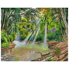 Картина по номерам Colibri 40*50см, холст на подрамнике, VA-0973