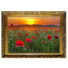 Алмазная мозаика Milato "Маковое поле", 29,5*20,5 см, 25 цветов