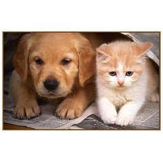 Алмазная мозаика Milato "Друзья с детства", 31 цвет