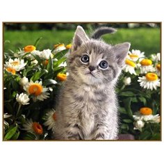 Алмазная мозаика Milato "Послушный котёнок", 32 цвета