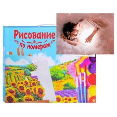 Картина по номерам Рыжий кот Холст с красками, 30*40 см, Лунная Фея (Х-6569)