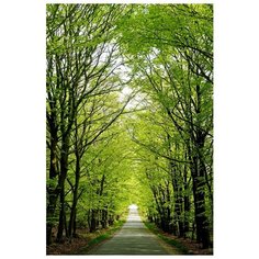 Алмазная мозаика ArtXobby АМ080, 40х60 см, квадратные стразы, полная выкладка