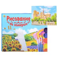 Картина по номерам Рыжий кот Холст с красками, 30*40 см, Париж, Собор Парижской Богоматери (Х-6475)