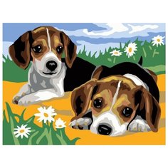 Картина по номерам "Щенки на лужайке", 30x40 см Белоснежка