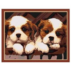 Картина по номерам Цветной "Сенбернарчики", 30x40 см