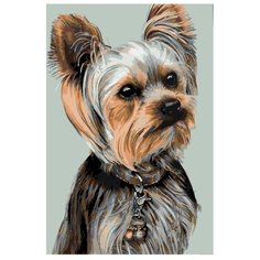 Картина по номерам, 100 x 150, A370, "Живопись по номерам", набор для раскрашивания, раскраска