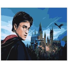 Картина по номерам Живопись по Номерам "Гарри Поттер", 40x50 см