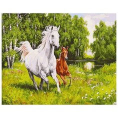 Картина по номерам "На воле" Елены Самарской, 40x50 см Белоснежка