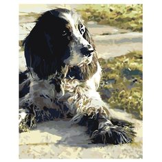 Картина по номерам, 100 x 125, z5800, "Живопись по номерам", набор для раскрашивания, раскраска