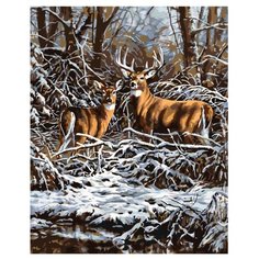 Картина по номерам, 100 x 125, A357, "Живопись по номерам", набор для раскрашивания, раскраска