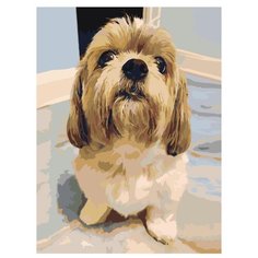 Картина по номерам, 75 x 100, ets234-3040, "Живопись по номерам", набор для раскрашивания, раскраска