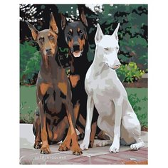 Картина по номерам, 100 x 125, z6768, "Живопись по номерам", набор для раскрашивания, раскраска