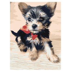 Картина по номерам, 75 x 100, zgena130420-7, "Живопись по номерам", набор для раскрашивания, раскраска