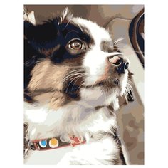 Картина по номерам, 75 x 100, ets524-3040, "Живопись по номерам", набор для раскрашивания, раскраска