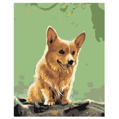 Картина по номерам, 100 x 125, Z-AB220, "Живопись по номерам", набор для раскрашивания, раскраска