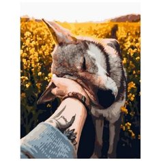 Картина по номерам GX 39164 Лучший друг 40*50 Paintboy