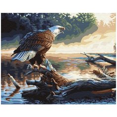 Картина по номерам Paintboy, GX6736 "Орел на дереве" 40х50см