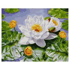 Картина по номерам GX 39112 Белый лотос 40*50 Paintboy