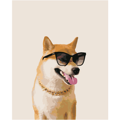 Картина по номерам HOBRUK "Сиба-Ину в очках" 40*50см