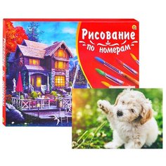 Холст с красками по номерам Рыжий кот Палитра, 40*50 см, Игривый щенок, 20 цветов (Х-3654)